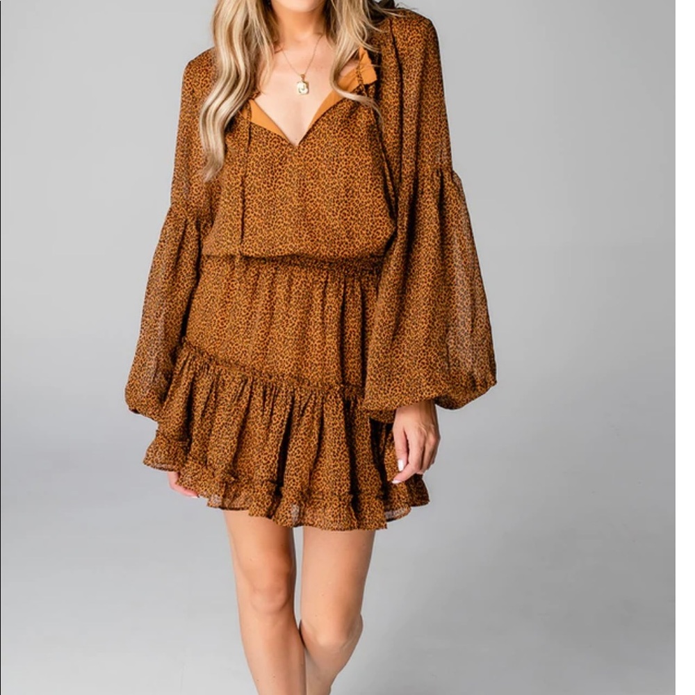 Long sleeve leopard dress